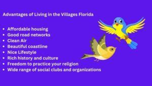 the dark side of the villages florida|Advantages and Disadvantages of Living in The Villages, Florida.